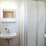 Scheer 3*