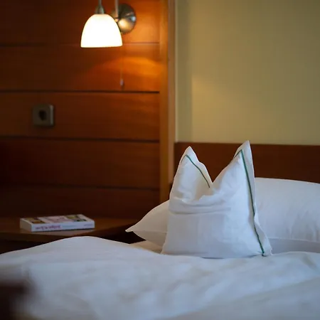 Hotel Gasthof Scheer Feriendomizil