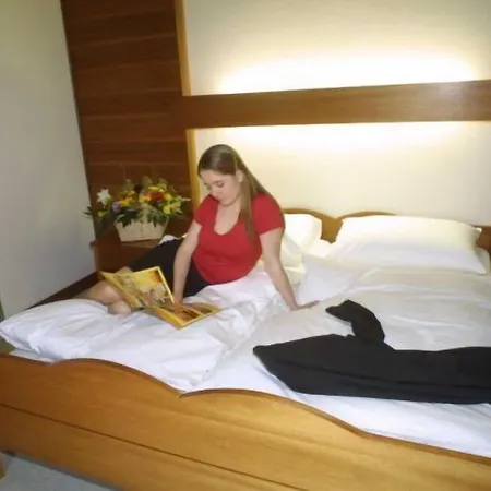 Gasthof Scheer Feriendomizil Hotel 3*