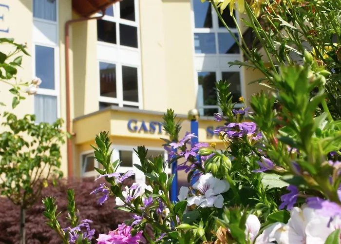 Hotel Gasthof Scheer 3*