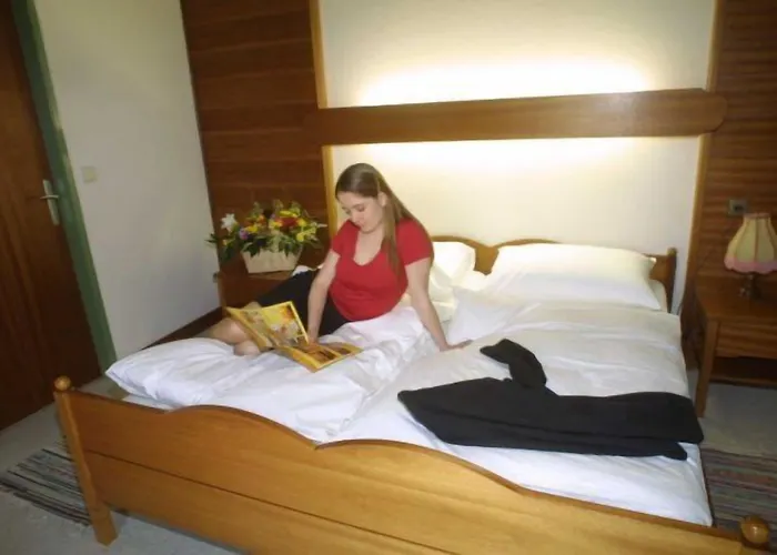 Hotel Gasthof Scheer Hotel 3*